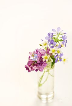 Beautiful spring flowers in a vase on white background