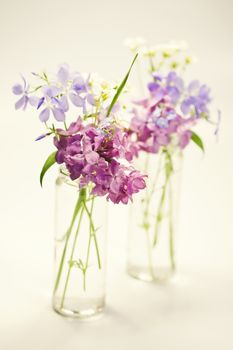 Beautiful spring flowers in a vase on white background