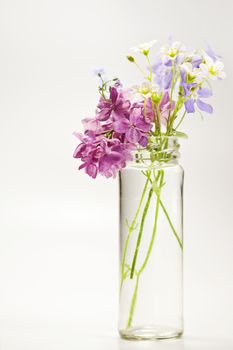 Beautiful spring flowers in a vase on white background