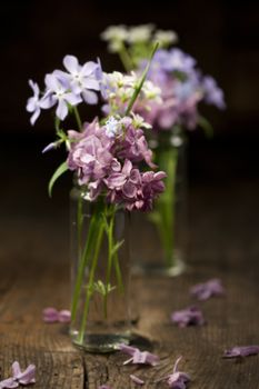 Beautiful spring flowers in a vase on wooden background