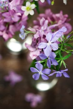 Beautiful spring flowers in a vase on wooden background