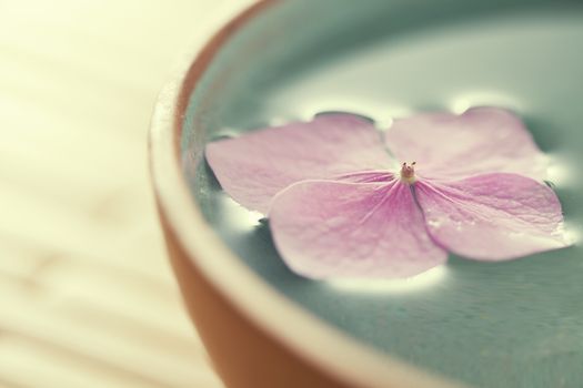 Close up of flowers floating in bowl of water