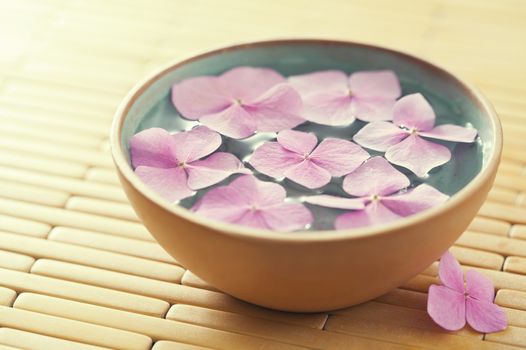 Close up of flowers floating in bowl of water