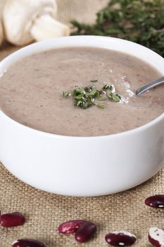 Cream soup with mushrooms and bean