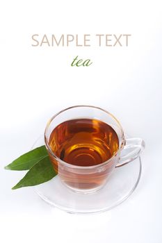 Cup of tea on white background 