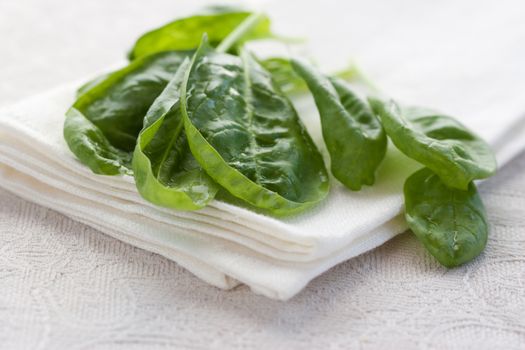 Fresh spinach on white background 