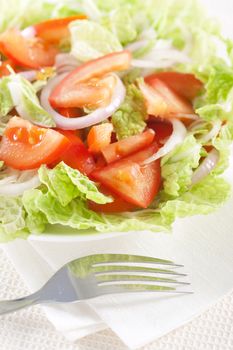 Fresh vegetable salad in plate