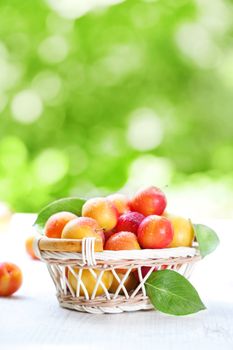 Fresh ripe plums in the basket 