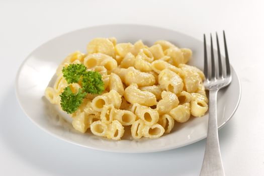 Macaroni and cheese in the plate