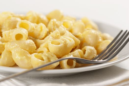 Macaroni and cheese in the plate