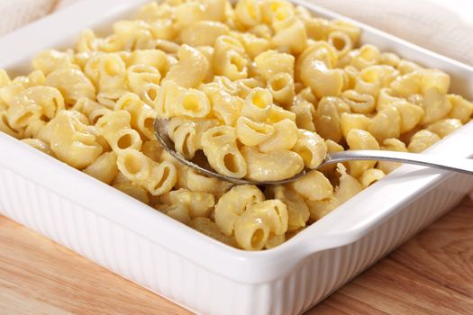 Macaroni and cheese in the casserole 