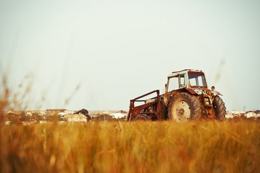 Old tractor in the yellow field