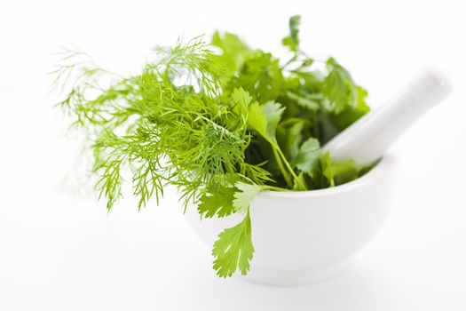 White mortar with fresh green herbs