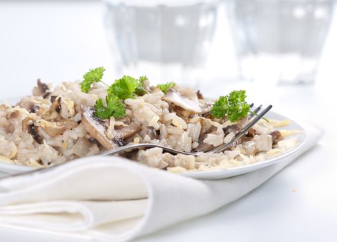 Mushroom risotto with parsley, italian cuisine.