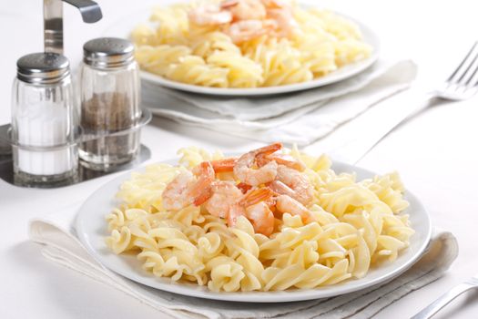 Two plates of pasta with shrimps