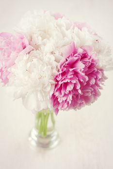 Vase of beautiful fresh peony flowers