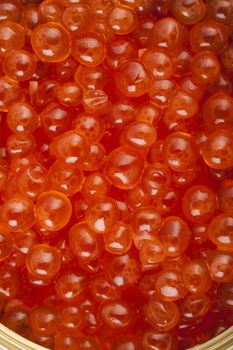 Delicious red salmon caviar macro photo