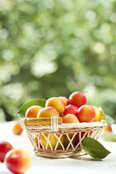 Fresh ripe plums in basket outdoors