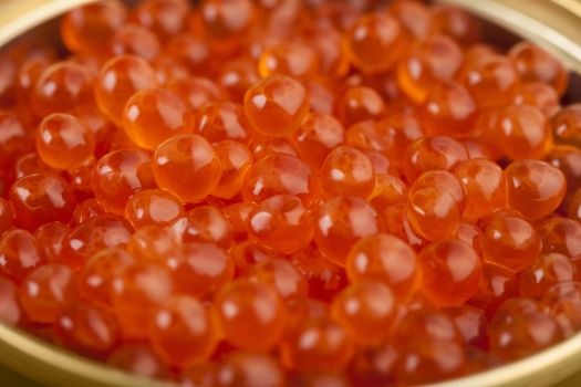 Delicious red salmon caviar macro photo