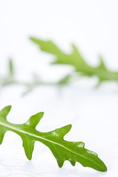 Ruccola fresh heap leaf on white 