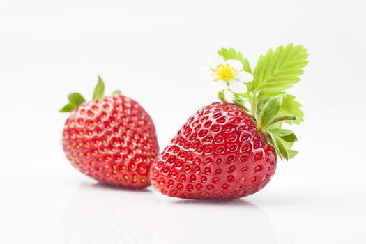 Two fresh strawberries on white background.