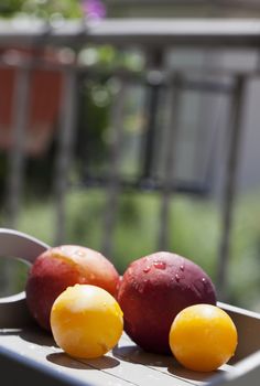 Fruits over a wooden tray, on a balcony