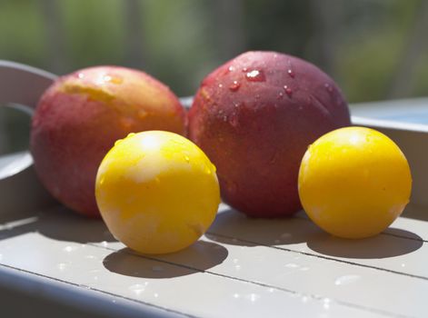 Fruits over a wooden tray, on a balcony