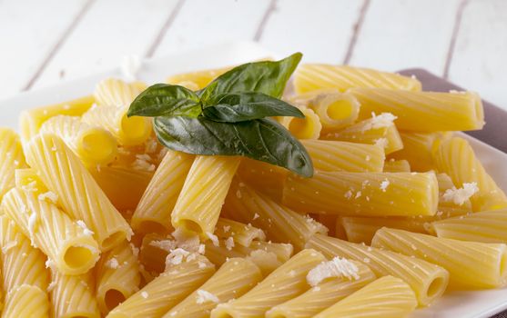 Pasta with parmesan and basil, over white plate