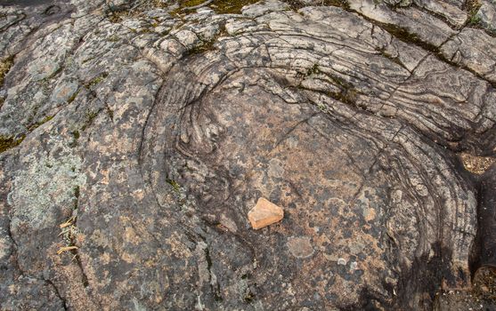 the beautiful stone texture in the park ideal for background and wallpaper purposes