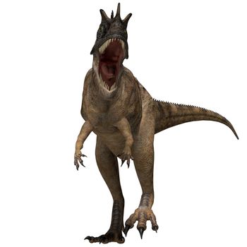 The Ceratosaurus is a horned theropod dinosaur found in North America from the Jurassic Period.