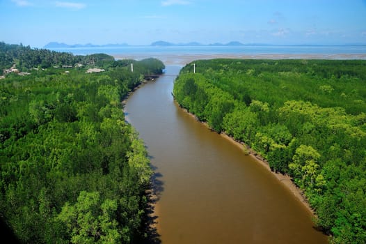 Aerial of a mangrove forest, Thailand.