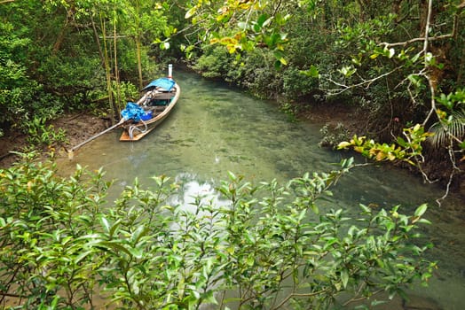 longtail boat in mangroves forest, Krabi, Thailand.