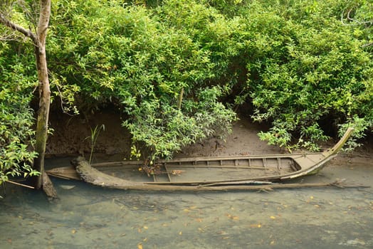 the old boat in mangroves forest, Krabi, Thailand.