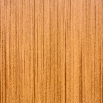 Texture of wood for background