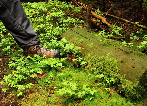 Man's foot in the shoe hiking in the green grass in forest