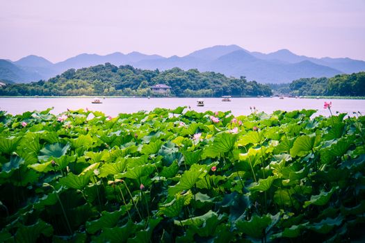 Hangzhou is a beautiful city in Zhejiang province China