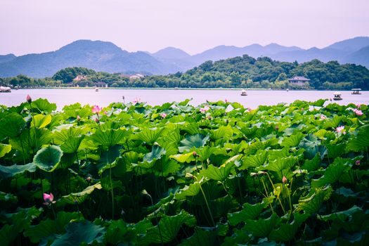 Hangzhou is a beautiful city in Zhejiang province China