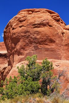 Red Orange Garden Gnome Formation Canyon Arches National Park Moab Utah USA Southwest. 