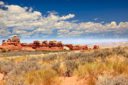 Broken Arch Rock Canyon Yellow Grass Near Sand Dune Arch Arches National Park Moab Utah USA Southwest. 