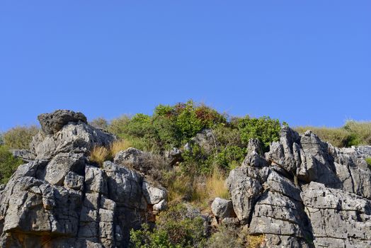 Mountain with trees against the blue sky