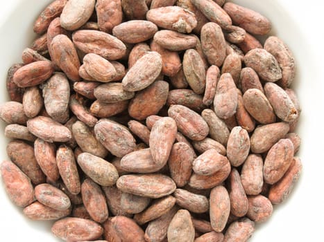 cocoa beans (theobroma cacao) from Madagascar