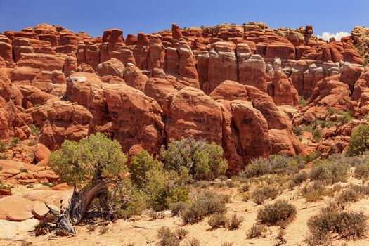 Fiery Furnace Red Orange Hoodoos Rock Canyon Arches National Park Moab Utah USA Southwest. 