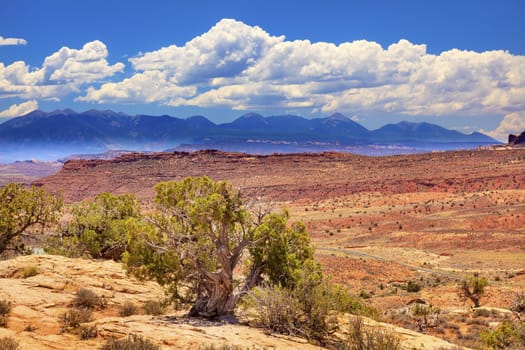 Painted Desert Yellow Boulders Sandstone La Salle Mountains Arches National Park Moab Utah USA Southwest. 