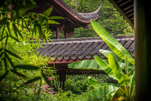 Hangzhou is a beautiful city in Zhejiang province China
