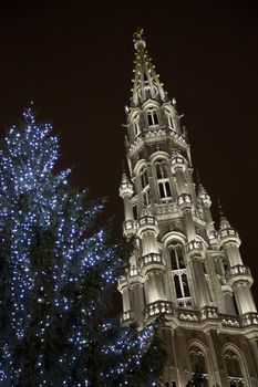 The buildings of the Grand Place of Brussels are illuminated during the winter wonders happening