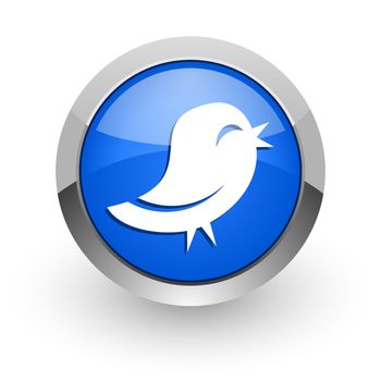 blue glossy web icon