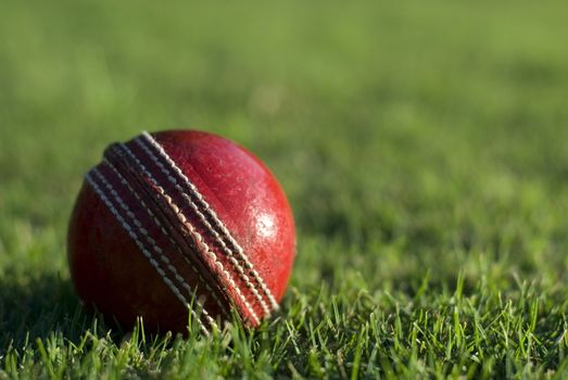 Close up of a side lit red cricket ball on the green grass of a sports field, with copyspace