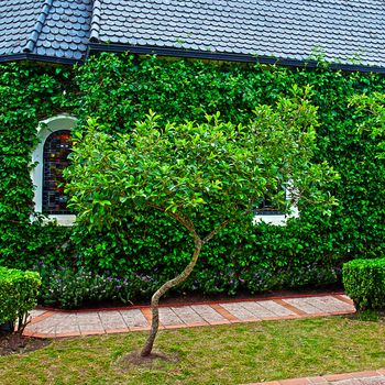 small chapel with green trees