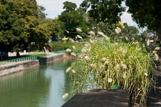 channel in mulhouse - Alsace - France