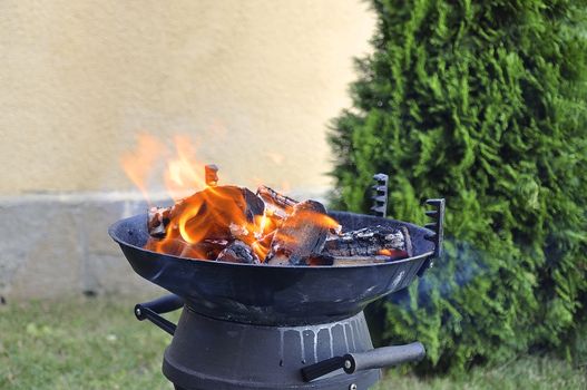 Barbeque in the garden on a hot summer - by the Black Sea